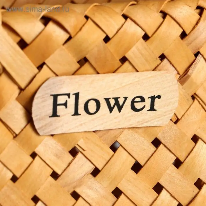 Корзина плетёная для хранения, 17&times;13&times;9.5 см, ручка h=14 см, секвойя