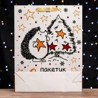 Пакет подарочный новогодний ламинированный вертикальный &laquo;Пакетик счастья&raquo;, 33&times;42&times;10 см