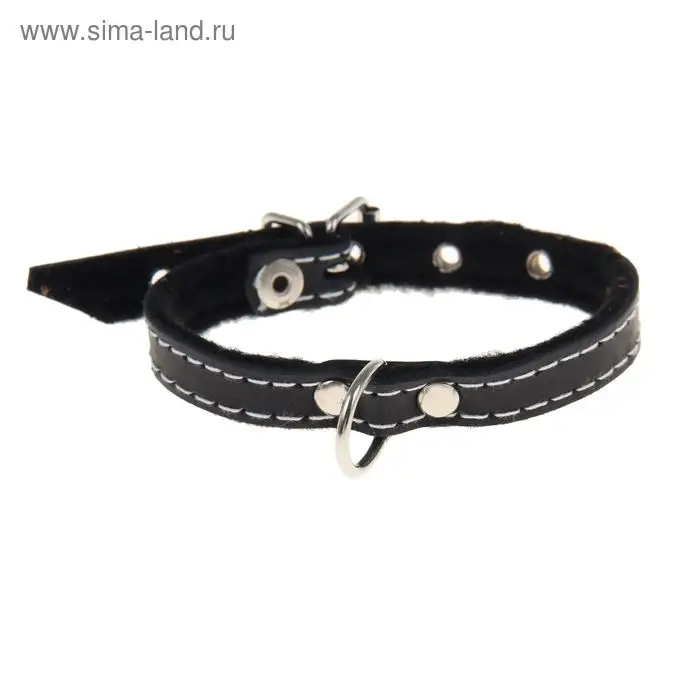 Ошейник тисненый на фетре, 30&times;1.2 см, кожа, цвет МИКС