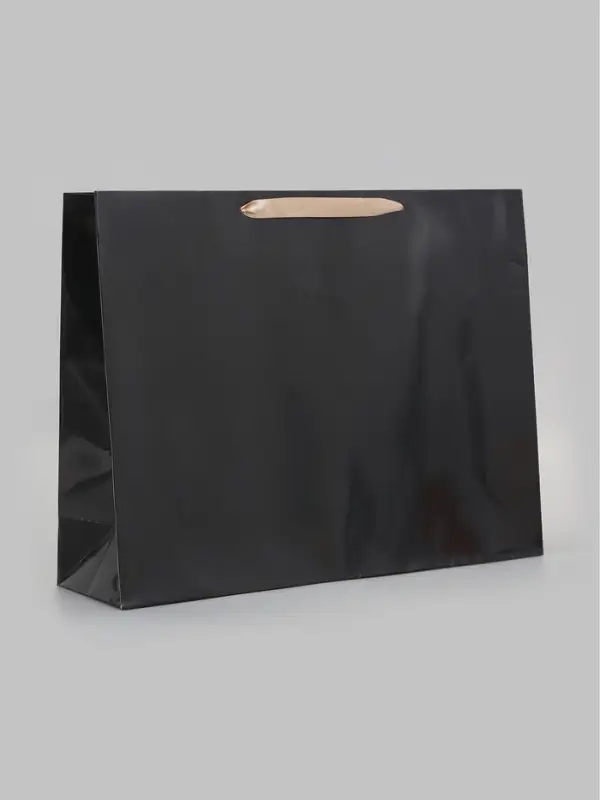 Пакет ламинированный горизонтальный, L 40&times;31&times;11.5 см, чёрный