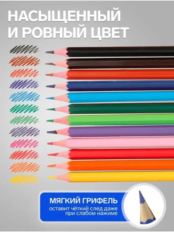 Карандаши Calligrata, цветные 12 цветов, эконом, заточенные, шестигранные, пластиковые