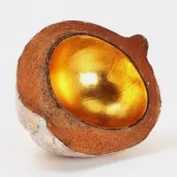 Чаша из кокоса, 18&times;18&times;10 см, бежево-золотая