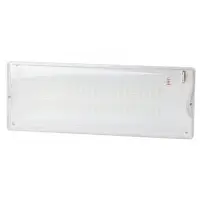 Светильник аварийный DPA-301-1-65 постоянный 40LED 3ч IP65 NiCD