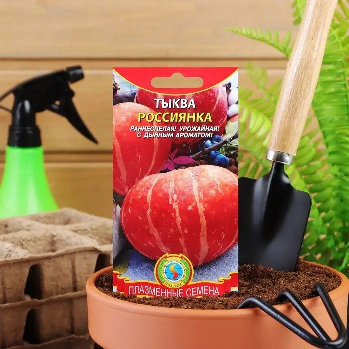 Семена Тыква "Россиянка", 2 г Семена Тыква "Россиянка", 2 г