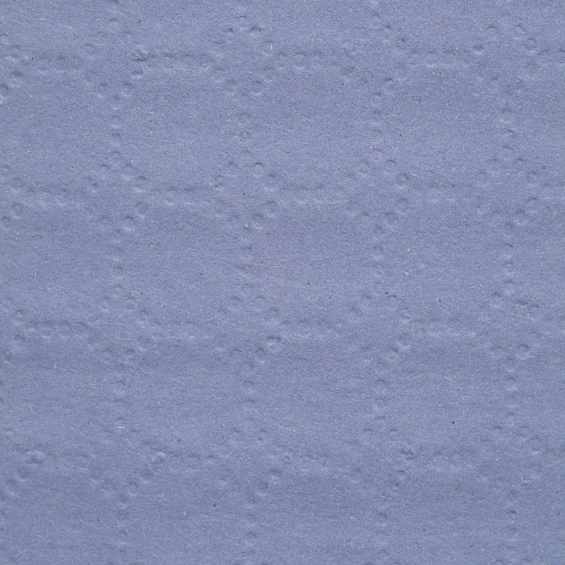 Бумага протирочная Luscan Prof 2сл 1000лx1рул/уп 360м голубая