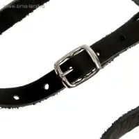 Намордник кожаный, цельнокроенный, длина по носу 6.5 см, ОМ 35 см, ротвейлер, чёрный