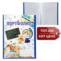 Папка-портфолио А4 Calligrata, пластиковая, с 20 вкладышами, МИКС