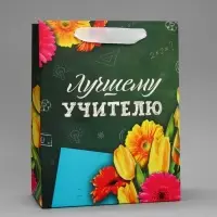Пакет подарочный ламинированный, упаковка, «Лучшему Учителю», MS 18 х 23 х 10 см