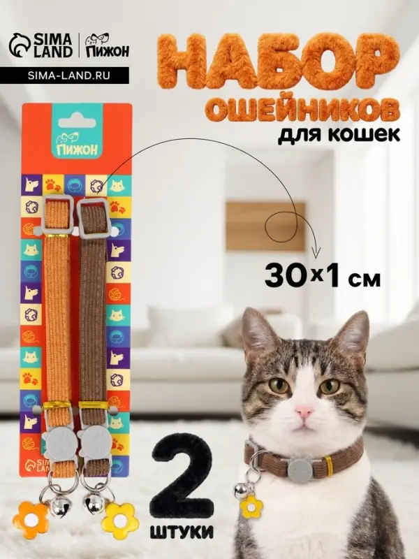 Набор ошейников для кошек &laquo;Пижон&raquo;, 30&times;1 см, оранжевый, коричневый