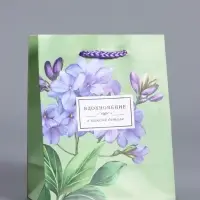 Пакет подарочный ламинированный &laquo;Вдохновение&raquo;, травяной, 11.5&times;14.5&times;6.5 см
