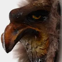 Панно &laquo;Голова орла&raquo;, 15&times;15&times;7 см