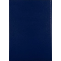 Журнал учета противопожарных инструктажей, бумвинил, 96л, офсет