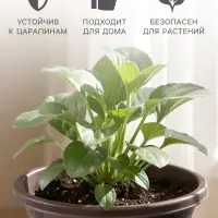 Горшок цветочный с поддоном &laquo;Альтернатива. Эконом&raquo;, 2 л, пластиковый, коричневый