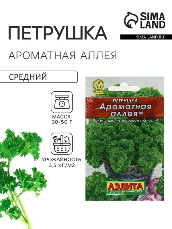 Семена Петрушка кудрявая &laquo;Ароматная аллея&raquo;, 2 г, &laquo;Аэлита&raquo;