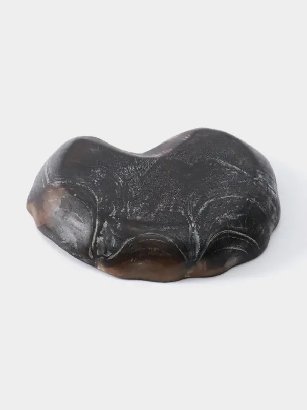 Тарелка &laquo;Ракушка&raquo;, 26&times;23&times;3 см, дерево джати, тёмно-коричневая