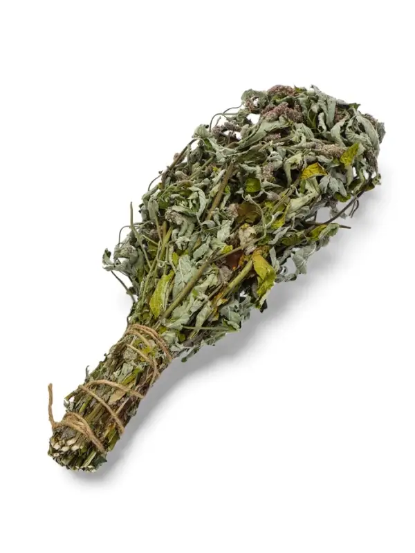 Веник для бани, мята, 45 (&plusmn; 5 см), &laquo;Добропаровъ&raquo;