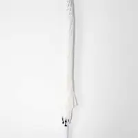 Зонт - трость полуавтоматический, 8 спиц, R=51/58 см, d=102 см, белый