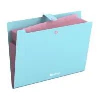 Папка А4 Haze, 12 отделений, 600 мкм, на кнопке, голубая