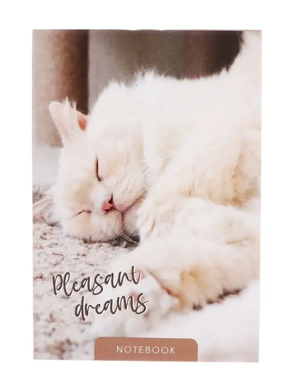 Набор блокнотов А6 40л кл на скобе Сладкий сон, мел карт, бл офс, 4В 20шт