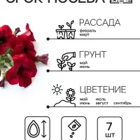 Семена цветов Петуния &laquo;Мамбо&raquo;, F1, пурпурная, многоцветковая, 7 шт., &laquo;Аэлита&raquo;