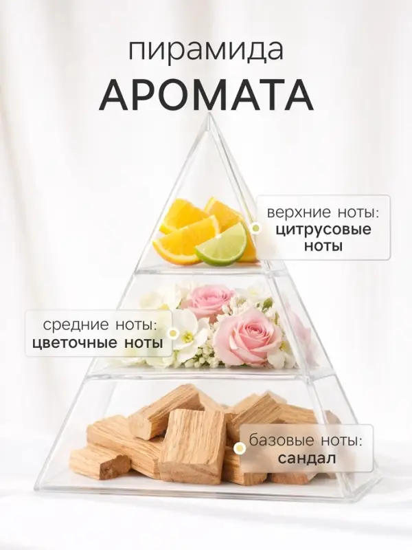 Диффузор ароматический с палочками XO The Harmony, 200 мл