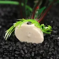 Набор растений искусственных для аквариума, 20 см, 2 шт.