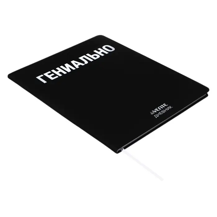 Дневник универсальный для 1-11 класса "Гениально", интегральная обложка, искусственная кожа, шелкография, ляссе, 80 г/м2