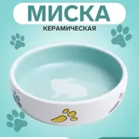 Миска &laquo;Заяц&raquo;, 200 мл, 12&times;12&times;3 см, керамика, белая, голубая