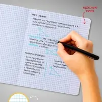 Комплект тетрадей из 10 штук, 24 листа в клетку Calligrata "Школьная", обложка мелованный картон, ВД-лак, блок офсет, 5 видов по 2 штуки