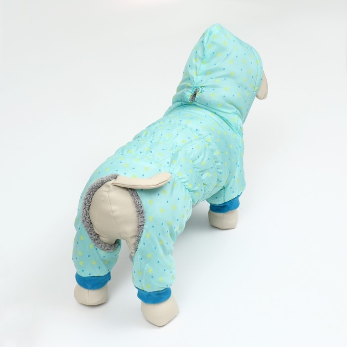 Комбинезон  Комбинезон "нежный путь" на меховом подкладе, размер XL (ДС 40, ОШ 40, ОГ 50 см), голубой