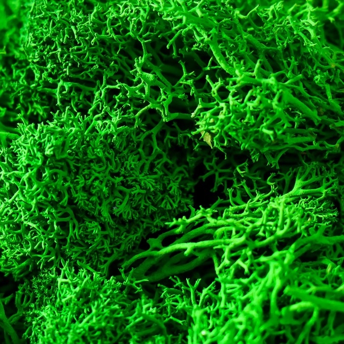 Кашпо бетонное  Кашпо бетонное "Череп" высота 10 см черное со мхом (мох зеленый стабилизированный)