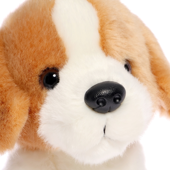 Мягкая игрушка «Собака бигль», 20 см Мягкая игрушка «Собака бигль», 20 см