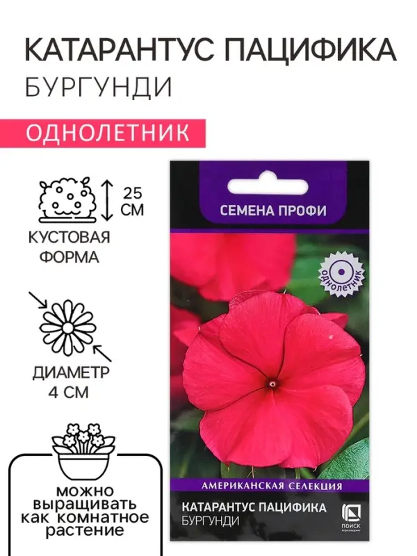 Семена цветов Катарантус Пацифика   Семена цветов Катарантус Пацифика  "Бургунди" 10 шт