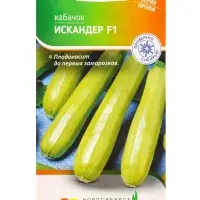 Семена Кабачок "Искандер" F1 5 шт
