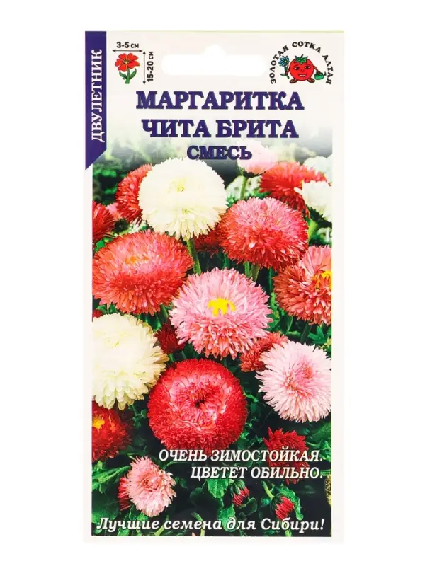 Семена Маргаритка Чита Брита смесь /Сотка/ 0,1 г/ h-15-20см d-3-5см/*1500