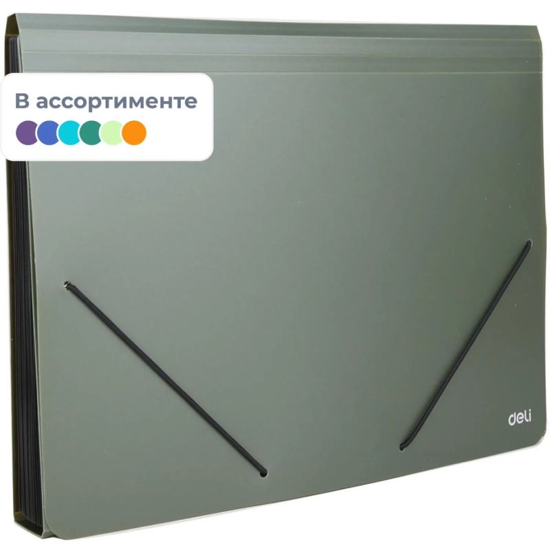 Папка органайзер Start на резин горизонтА4 13отд РР 0,75мм в ассортим E5551