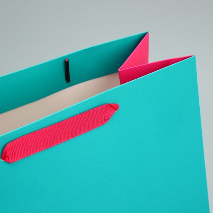 Пакет подарочный двухцветный, упаковка, &laquo;Розовый-голубой&raquo;, ML 23 х 27 х 11.5 см