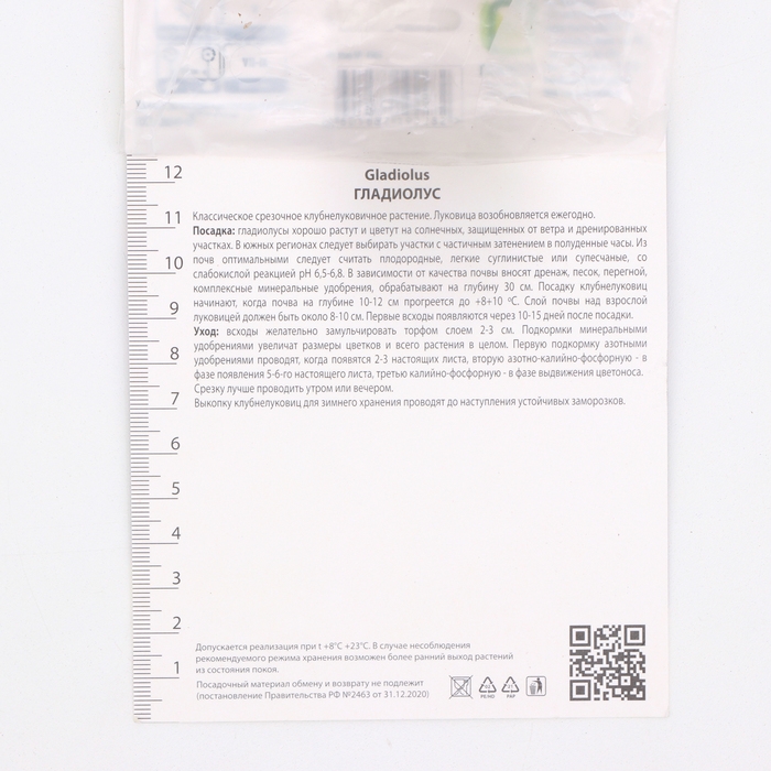 Гладиолус крупноцветковый «Кум Сьюс», луковица цветов в пакете с перфорацией, р-р 10/12, 3 шт.