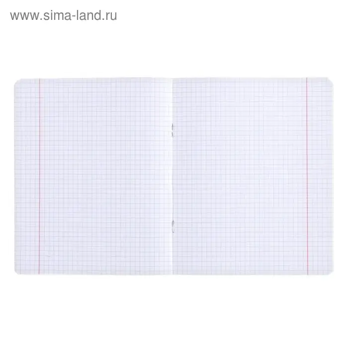 Тетрадь 12 листов в клетку Calligrata &laquo;Котик в кармашке&raquo;, обложка мелованный картон, МИКС