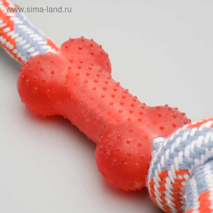 Игрушка тренировочная канатная с косточкой, до 120 г, до 40 см, микс цветов Игрушка тренировочная канатная с косточкой, до 120 г, до 40 см, микс цветов