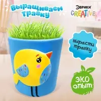 Набор для опытов, для детей &laquo;Выращиваем травку&raquo;, растение в горшочке &laquo;Птичка&raquo;