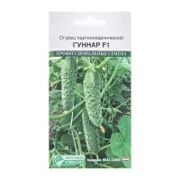 Семена Огурец партенокарпик Гуннар F1, 5 шт Семена Огурец партенокарпик Гуннар F1, 5 шт