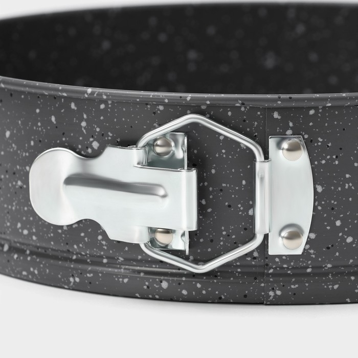 Форма Доляна для выпечки Элин «Мрамор», 24×6,5 см, съёмное дно, антипригарное покрытие, цвет серый Форма Доляна для выпечки Элин «Мрамор», 24×6,5 см, съёмное дно, антипригарное покрытие, цвет серый