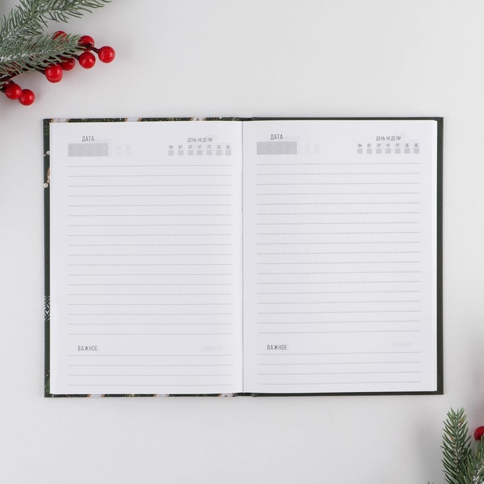 Новый год. Ежедневник классический «Время чудес», 7БЦ А5, 80 листов Новый год. Ежедневник классический «Время чудес», 7БЦ А5, 80 листов