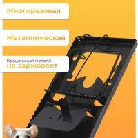 Крысоловка, 9&times;16.5&times;1.5 см, чёрная, Greengo