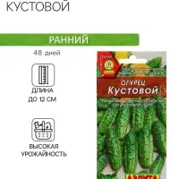 Семена Огурец "Кустовой", скороспелый, пчелоопыляемый, 20 шт