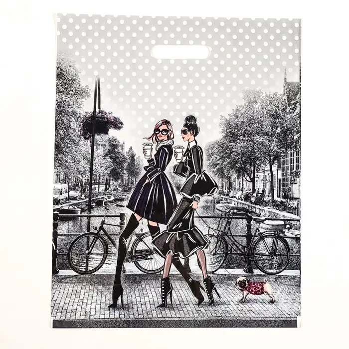 Пакет &laquo;Подружки&raquo;, полиэтиленовый с вырубной ручкой, 38&times;47 см, 60 мкм