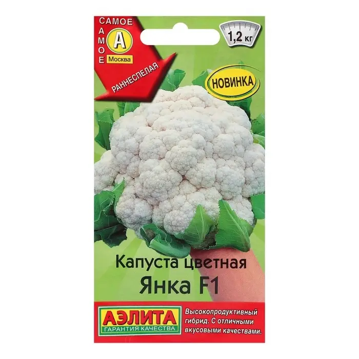 Семена Капуста цветная  Семена Капуста цветная "Янка" F1, ц/п, 10 шт