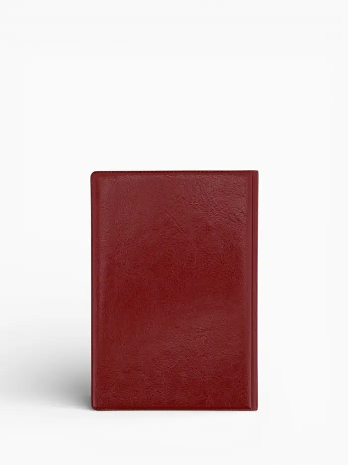 Обложка для паспорта, пвх, 9.5&times;0.5&times;13.5 см, МИКС