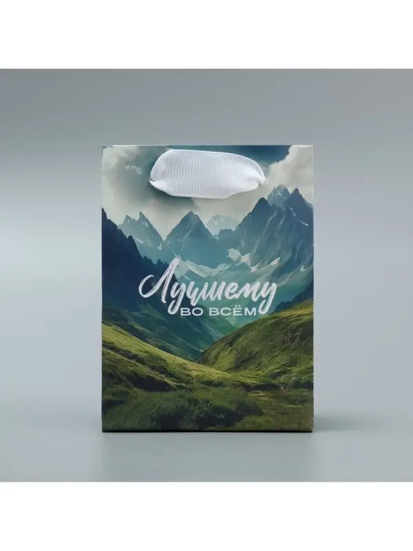 Пакет подарочный ламинированный, упаковка, «Лучшему во всём», 9 х 12 х 6.5 см